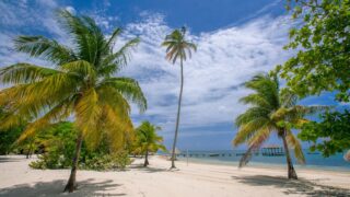 STEP2 固定費の削減